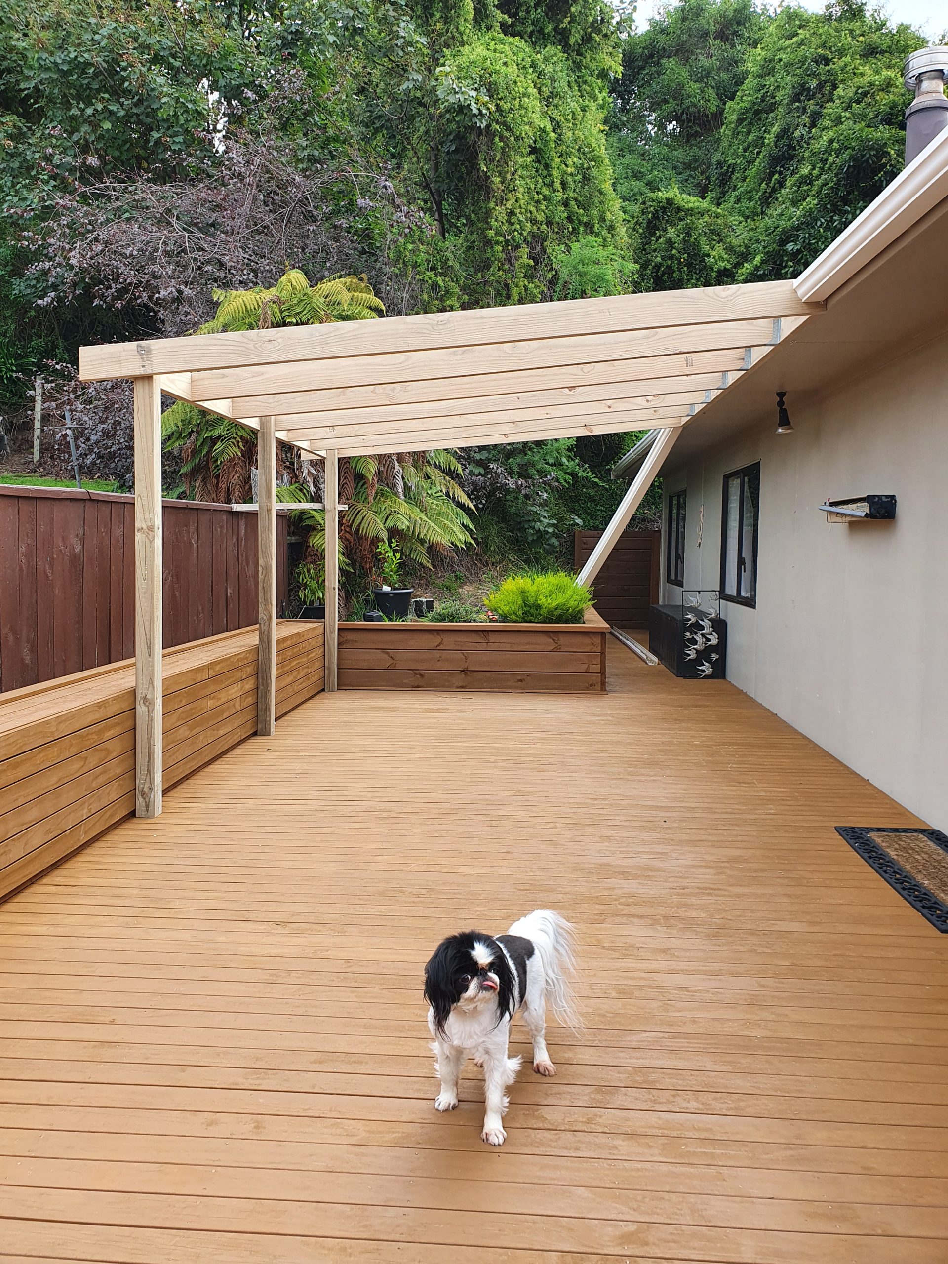 Trellis Direct Based in Kapiti Road, Paraparaumu, Kapiti Coast