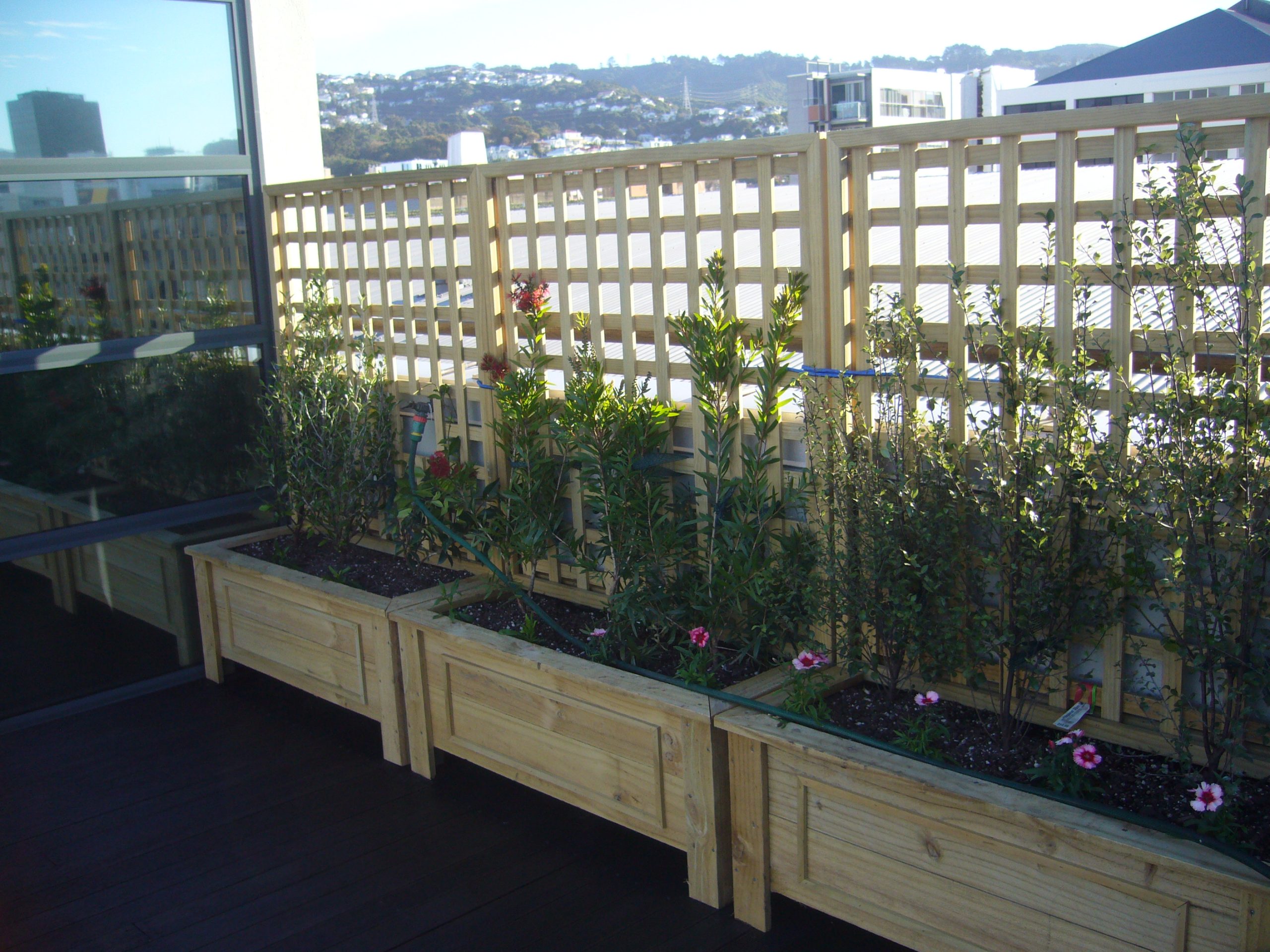 Planter Boxes and Raised Gardens Trellis Direct Custom Made Kapiti